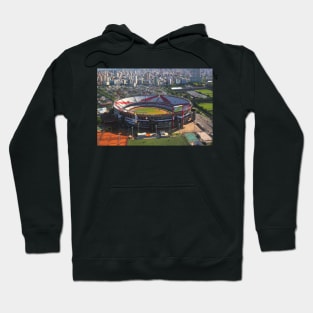 River Plate Stadium, Buenos Aires, Argentina Hoodie